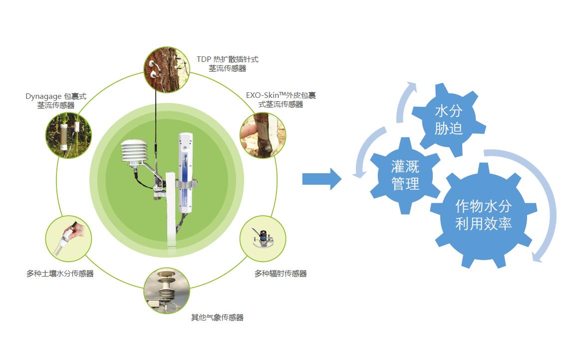 利用SapIP分布式植物生理生態(tài)監(jiān)測(cè)系統(tǒng)能做哪些研究？