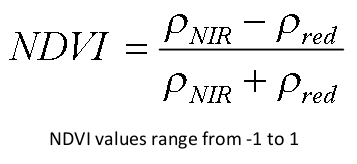 NDVI